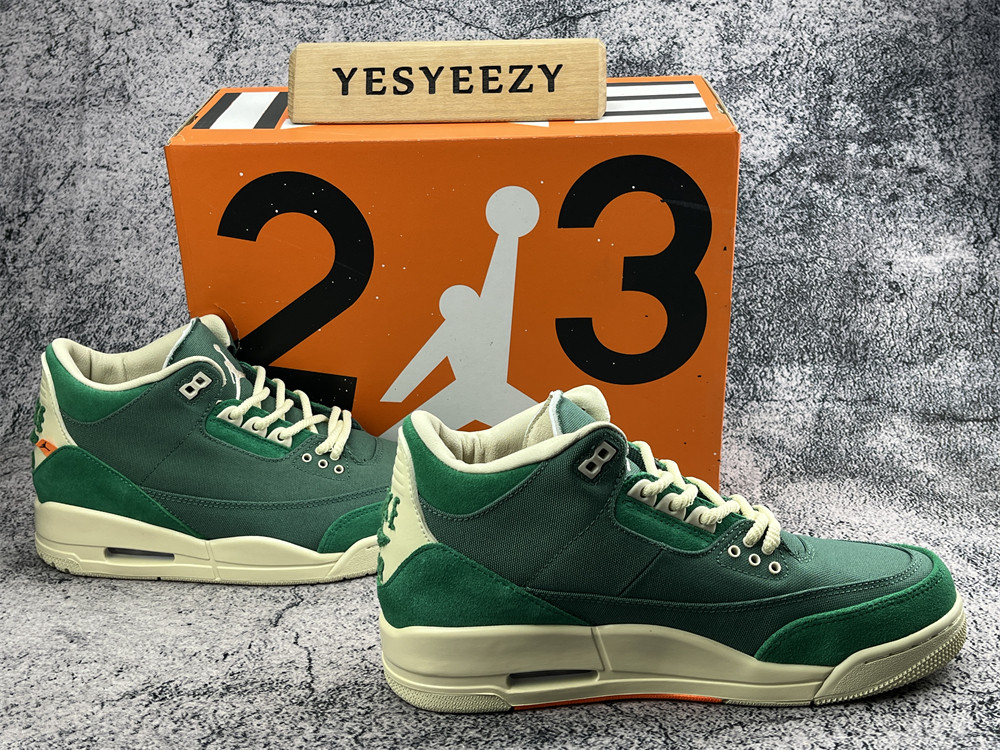 UA NINA Ch**el ABNEY X AIR JORDAN 3