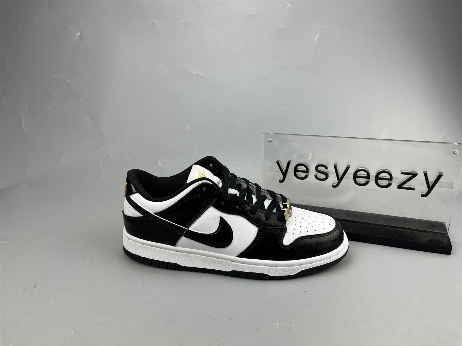 UA NIKE DUNK LOW 