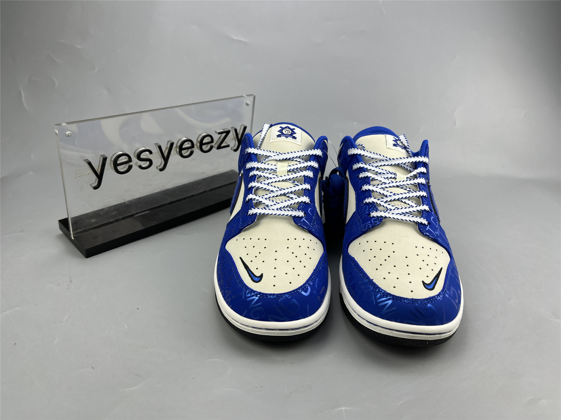 UA NIKE DUNK LOW GS 