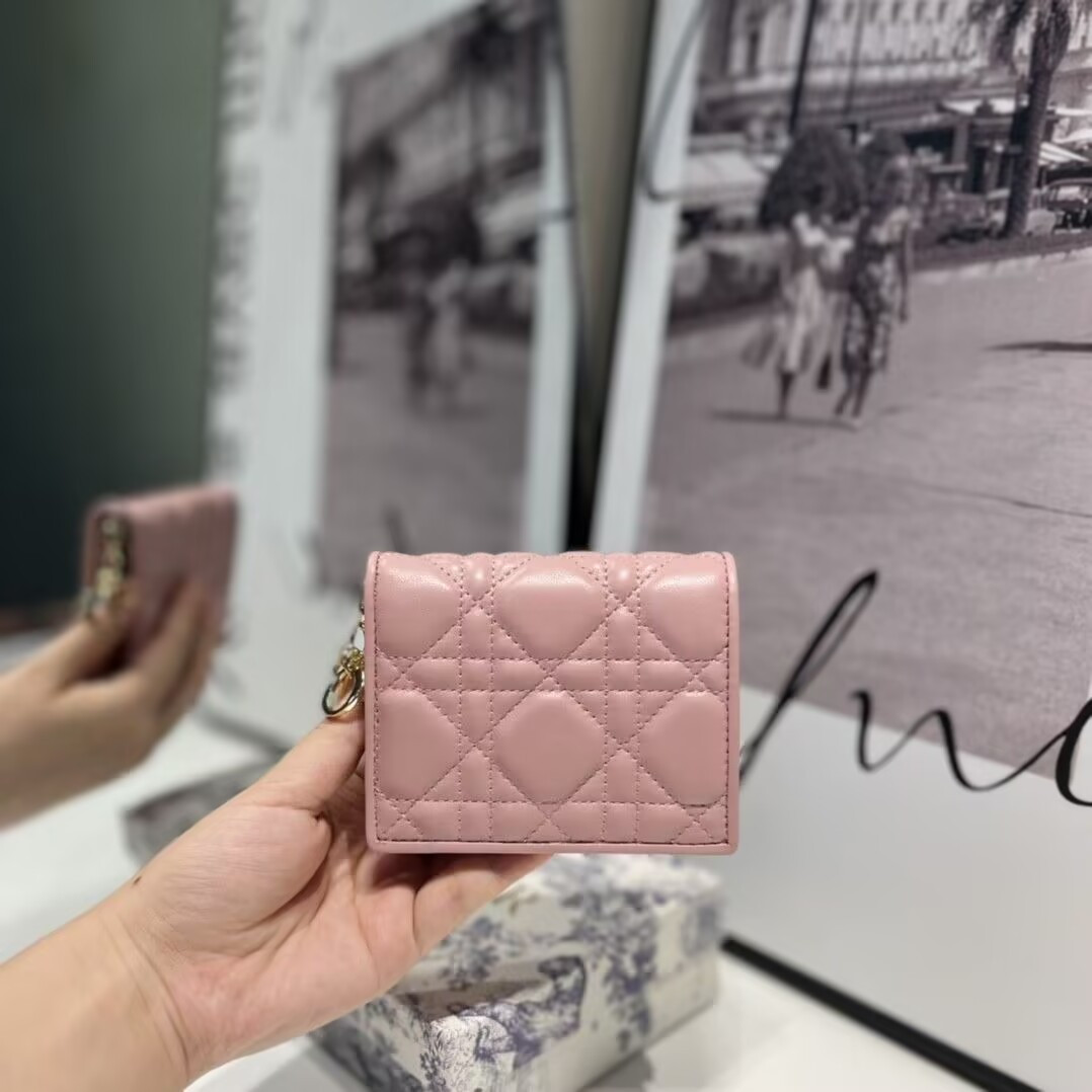 D10r Mini Lady D10r Gardenia Wallet 11x9x3cm