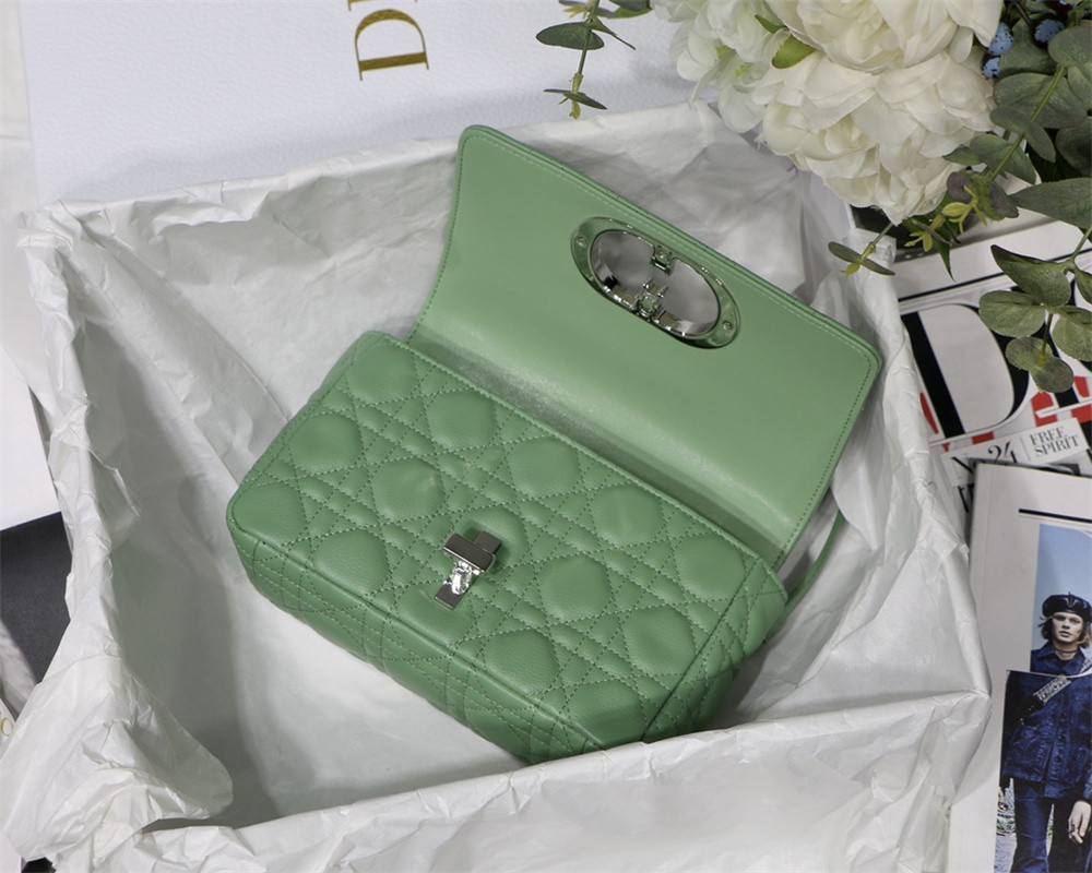 SMALL D10r CARO BAG gREEN S*pple Cannage Calfskin With Silver Hardware 20 x 12 x 7 cm