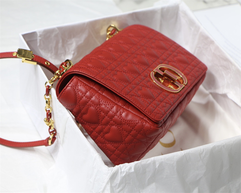 MEDIUM D10r CARO BAG amour red 25.5 x 15.5 x 8 cm